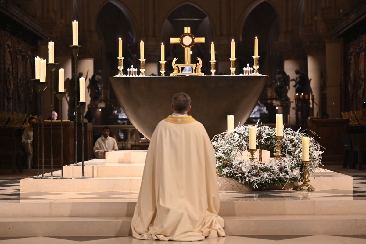 Veillée de l'espérance à Notre-Dame de Paris. © Marie-Christine Bertin / Diocèse de Paris.